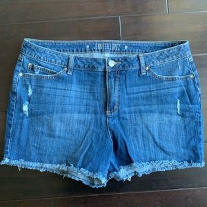 Jennifer Lopez Cut Off Denim Shorts